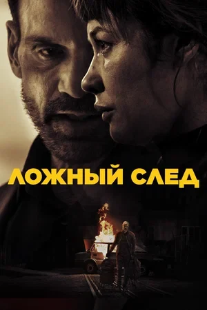 Сведения об участниках